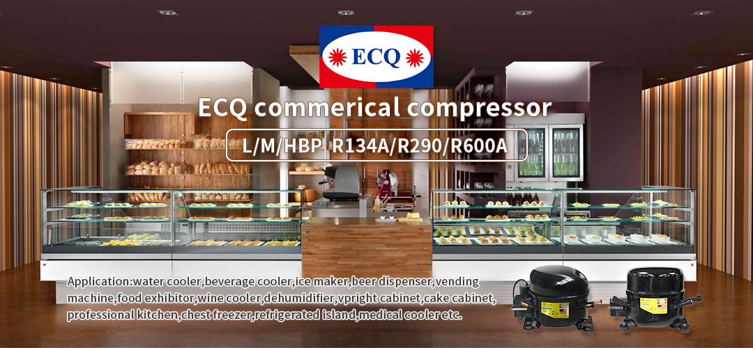 refrigeration compressor E10G R134A